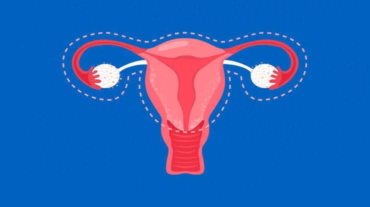 Neo-vagina formation